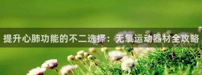 意昂3官方：提升心肺功能的不二选择：无氧运动器材全攻