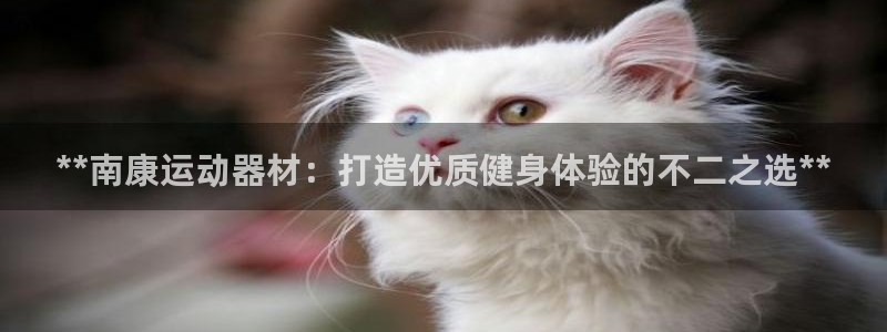 意昂体育3平台注册：**南康运动器材：打造优质健身体
