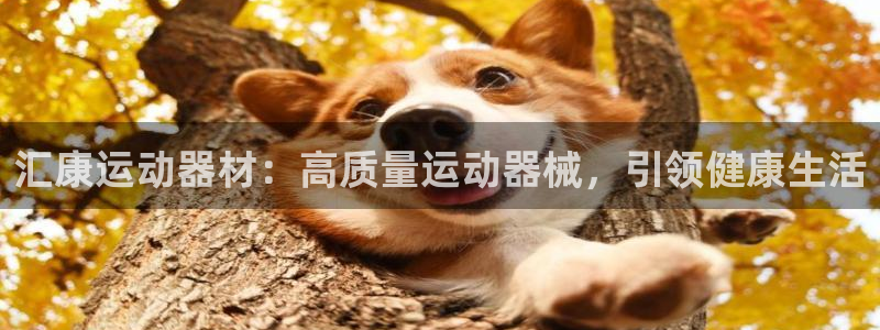 意昂3集团简介：汇康运动器材：高质量运动器械，引领健
