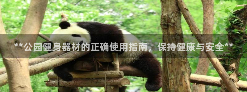 意昂3官网：**公园健身器材的正确使用指南，保持健康