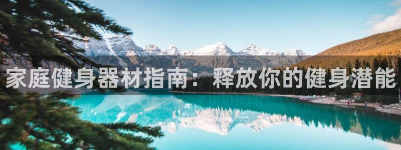 意昂体育3平台注册要钱吗安全吗：家庭健身器材指南：释