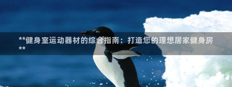 意昂3集团官网首页：**健身室运动器材的综合指南：打