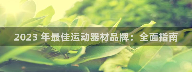 意昂3集团：2023 年最佳运动器材品牌：全面指南