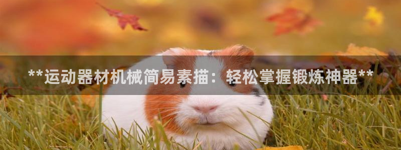 意昂体育3平台是正规平台吗知乎：**运动器材机械简易