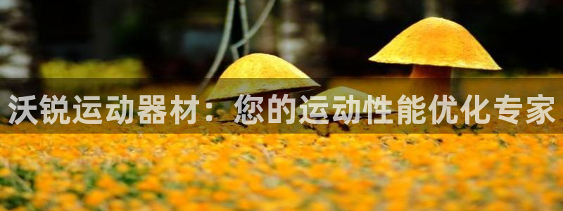 海南意昂体育3：沃锐运动器材：您的运动性能优化专家
