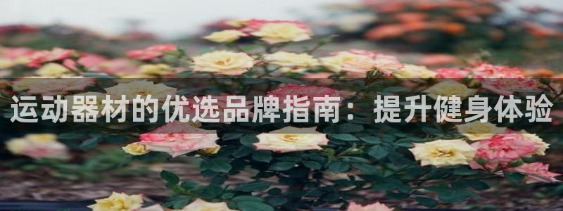 意昂体育3招商电话号码是多少号：运动器材的优选品牌指