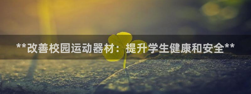 意昂3代理：**改善校园运动器材：提升学生健康和安全