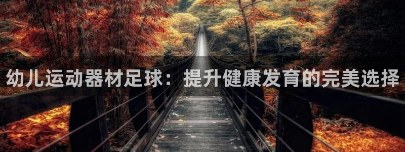 意昂体育3平台是正规平台吗安全吗：幼儿运动器材足球：