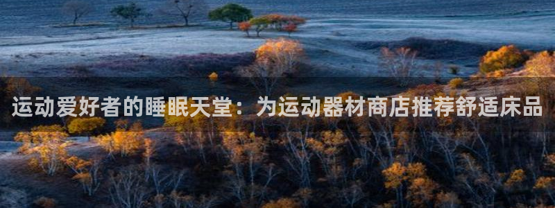 海南意昂体育3：运动爱好者的睡眠天堂：为运动器材商店