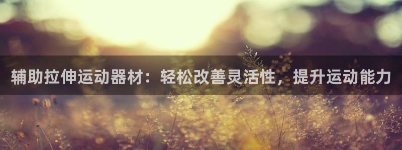 意昂3集团E.ON：辅助拉伸运动器材：轻松改善灵活性