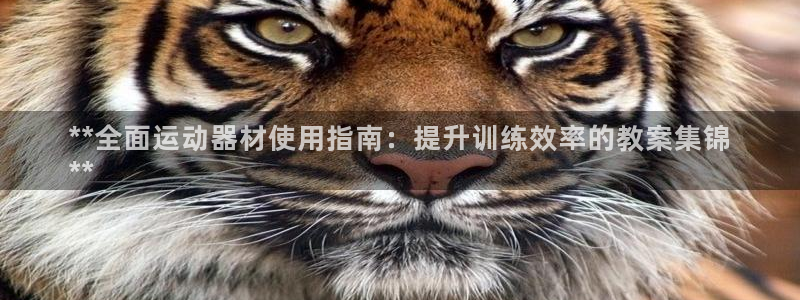 意昂体育3娱乐：**全面运动器材使用指南：提升训练效