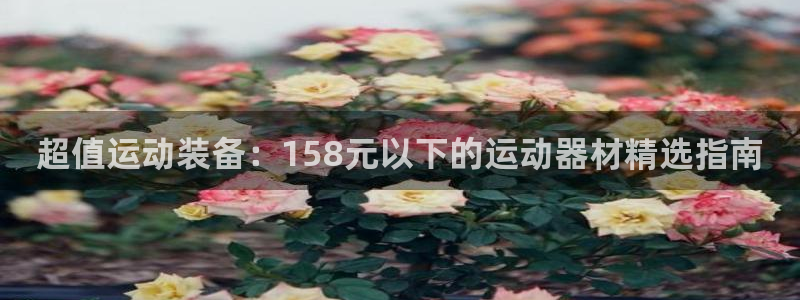 意昂3娱乐首页网站大全：超值运动装备：158元以下的