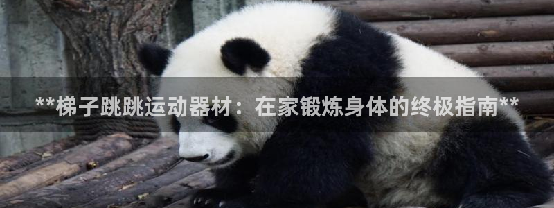 意昂3娱乐是那个系列的台子：**梯子跳跳运动器材：在