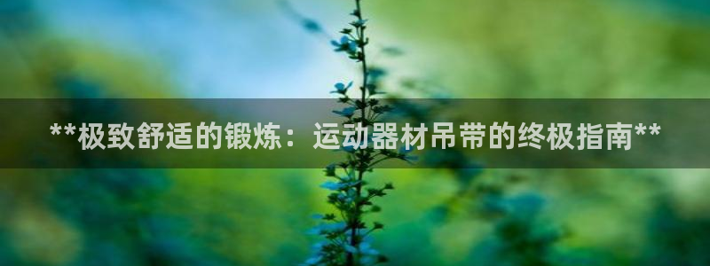 意昂体育3平台注册流程视频：**极致舒适的锻炼：运动