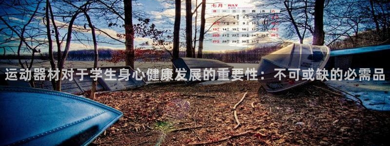 意昂3娱乐40996：运动器材对于学生身心健康发展的