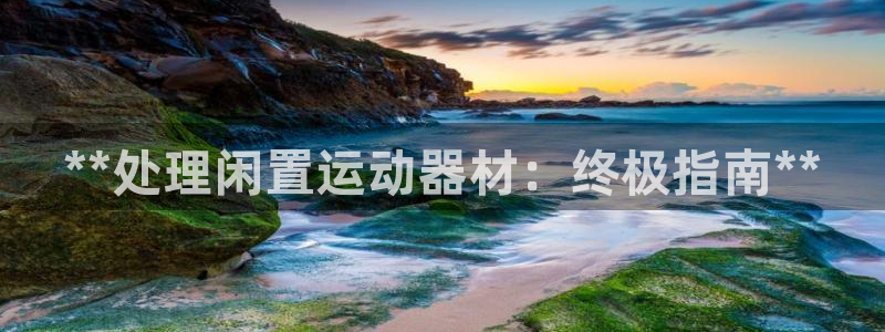 意昂3娱乐代理怎么样：**处理闲置运动器材：终极指南