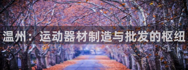 意昂体育3官方客服电话：温州：运动器材制造与批发的枢