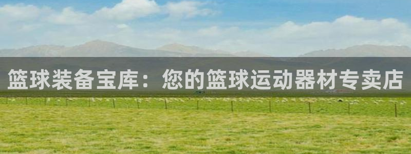 注册意昂3：篮球装备宝库：您的篮球运动器材专卖店