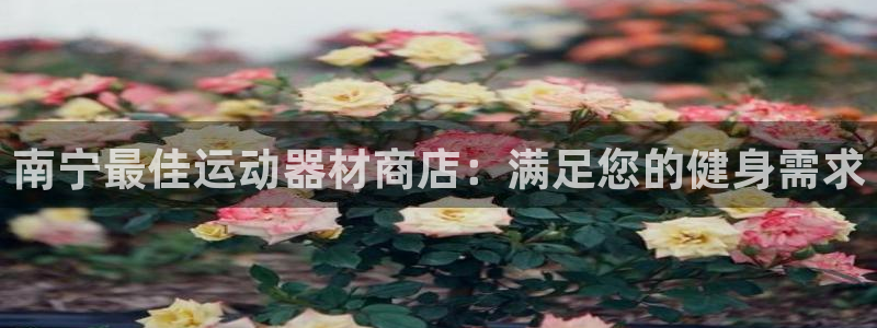 意昂体育3招商电话号码查询：南宁最佳运动器材商店：满