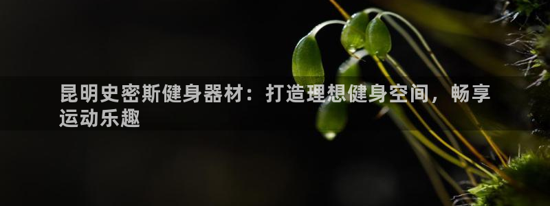 意昂体育3平台APP：昆明史密斯健身器材：打造理想健