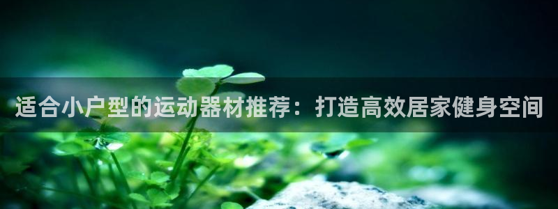 意昂3娱乐首页官网下载：适合小户型的运动器材推荐：打