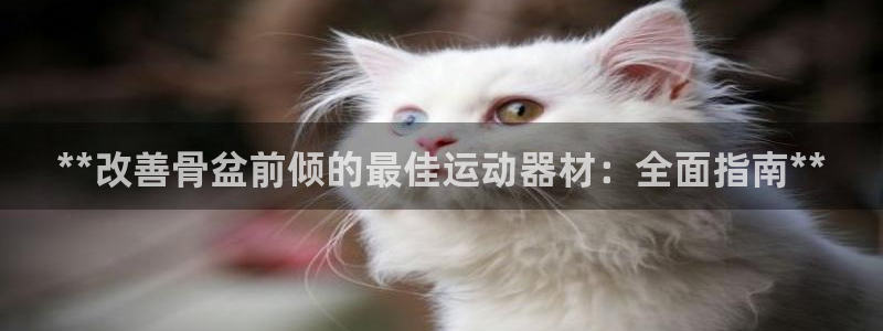 海南意昂体育3：**改善骨盆前倾的最佳运动器材：全面
