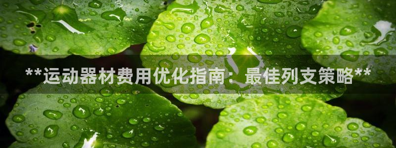 意昂体育3招商电话号码查询：**运动器材费用优化指南