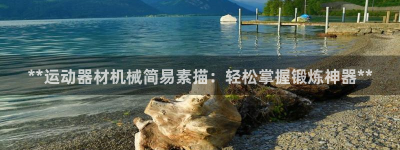 海南意昂体育3：**运动器材机械简易素描：轻松掌握锻