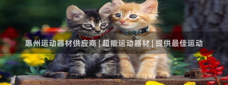 意昂体育3官方客服电话：惠州运动器材供应商 | 超能