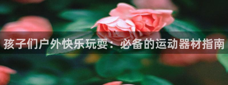 意昂体育3软件：孩子们户外快乐玩耍：必备的运动器材指