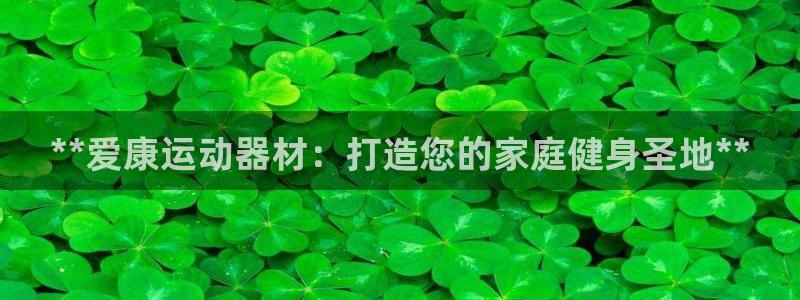 意昂3官方：**爱康运动器材：打造您的家庭健身圣地*