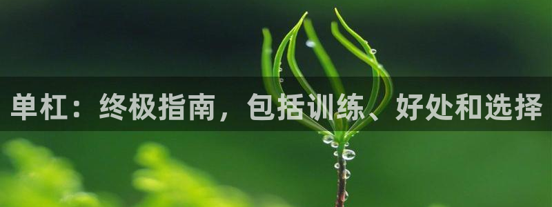 意昂3集团：单杠：终极指南，包括训练、好处和选择