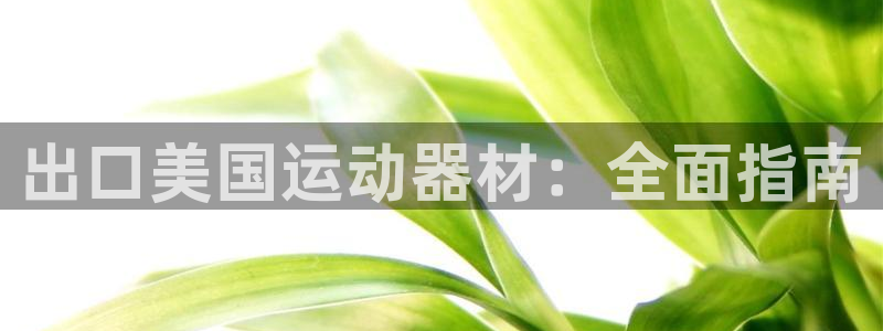 意昂3新能源：出口美国运动器材：全面指南