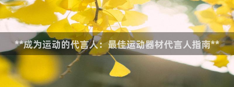 意昂3开户：**成为运动的代言人：最佳运动器材代言人