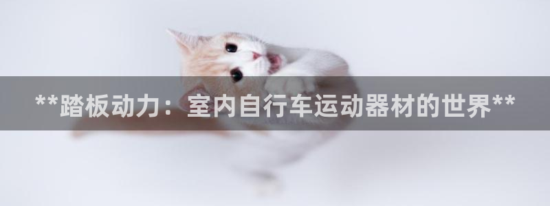 意昂集团官网：**踏板动力：室内自行车运动器材的世界
