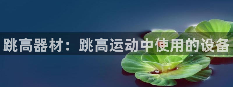 意昂3娱乐平台：跳高器材：跳高运动中使用的设备