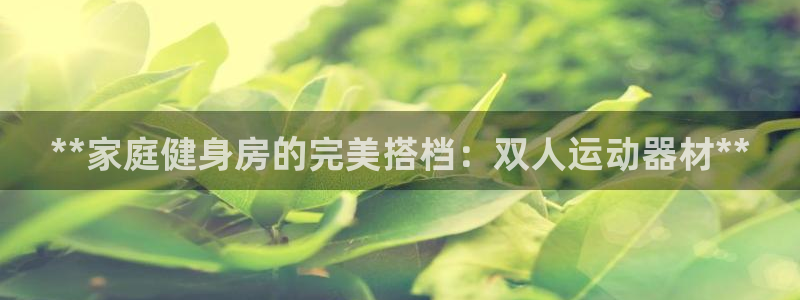 意昂3五金厂：**家庭健身房的完美搭档：双人运动器材