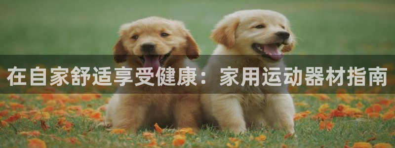 意昂集团官网