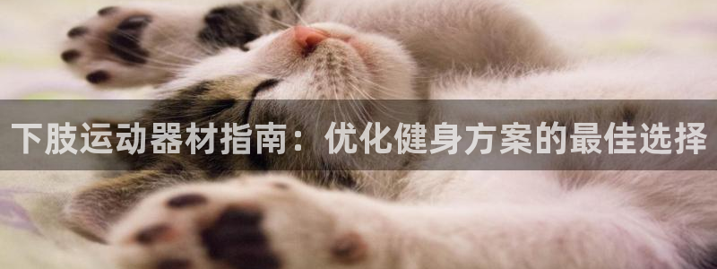 意昂3科技