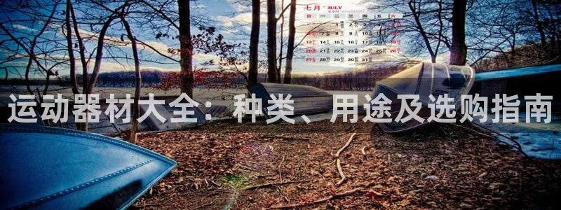 意昂3神州：运动器材大全：种类、用途及选购指南