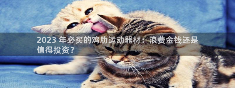 意昂体育3招商电话地址查询：2023 年必买的鸡肋运