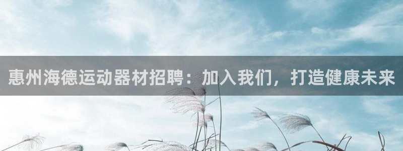 意昂3集团E.ON：惠州海德运动器材招聘：加入我们，