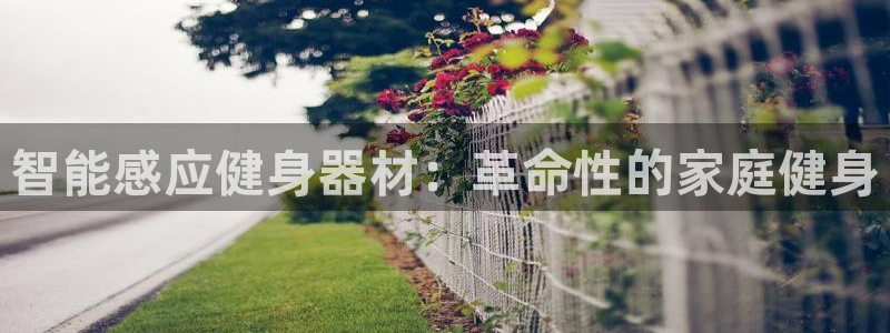 意昂3娱乐40996：智能感应健身器材：革命性的家庭