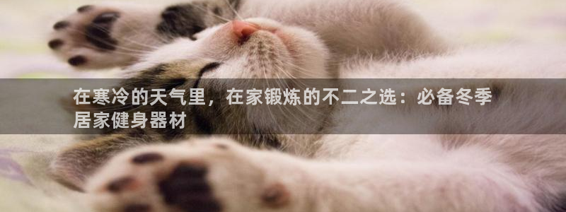 意昂3新能源：在寒冷的天气里，在家锻炼的不二之选：必备冬季
