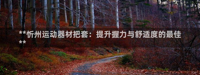 意昂体育3软件：**忻州运动器材把套：提升握力与舒适度的最佳