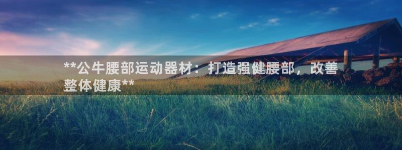 意昂3娱乐网站：**公牛腰部运动器材：打造强健腰部，
