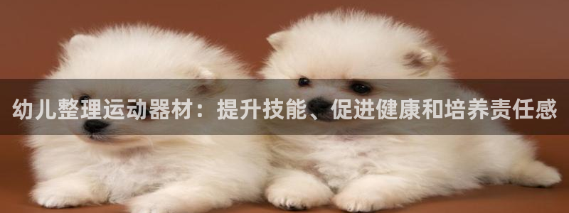 意昂体育3招商电话号码是多少：幼儿整理运动器材：提升