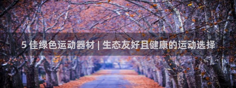 意昂体育3招商：5 佳绿色运动器材 | 生态友好且健