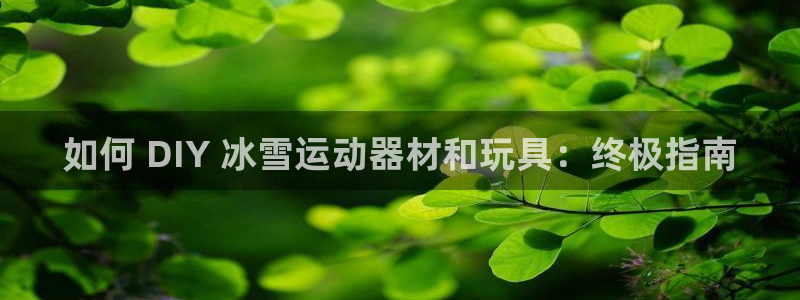 意昂3集团logo：如何 DIY 冰雪运动器材和玩具