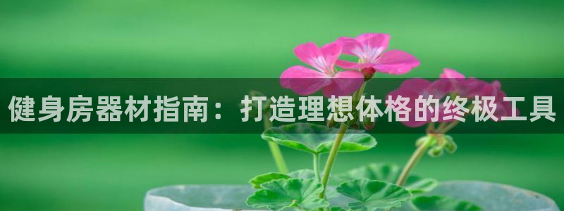 意昂体育3平台注册流程视频：健身房器材指南：打造理想